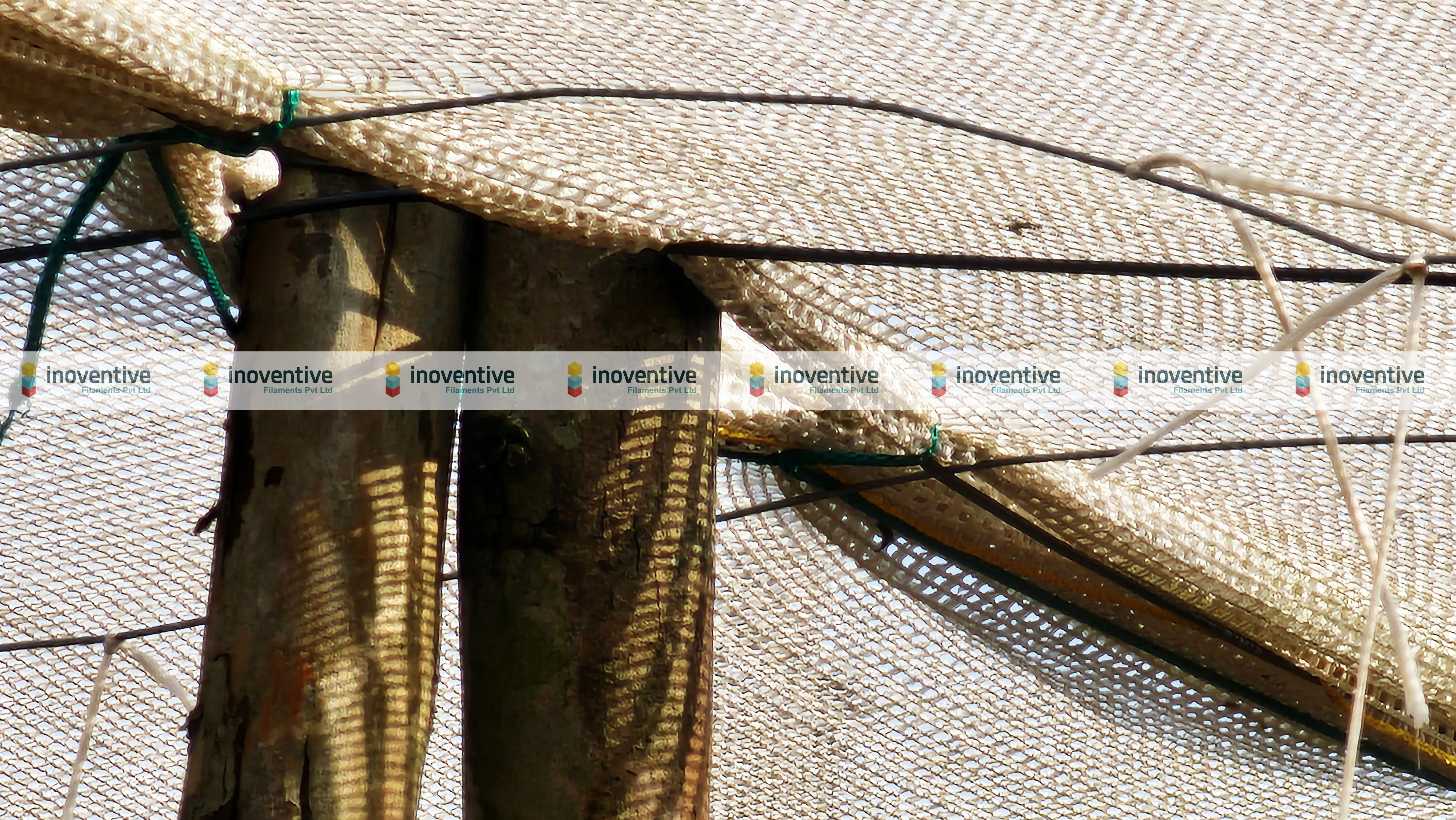 Polyhouse and Greenhouse